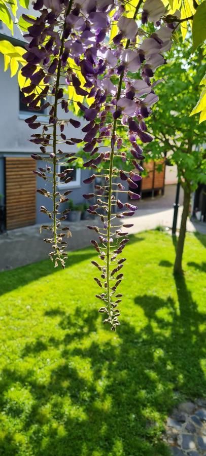 Ferienapartment Mia Fritzlar Dış mekan fotoğraf